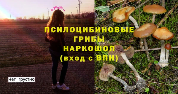 MDMA Premium VHQ Арсеньев