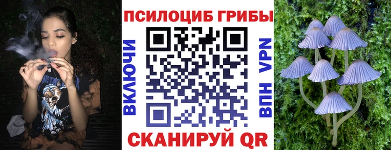 Псилоцибиновые грибы мицелий  Чаплыгин 