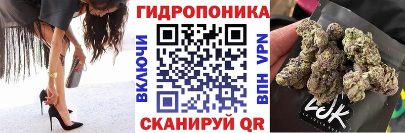 Конопля планчик Чаплыгин